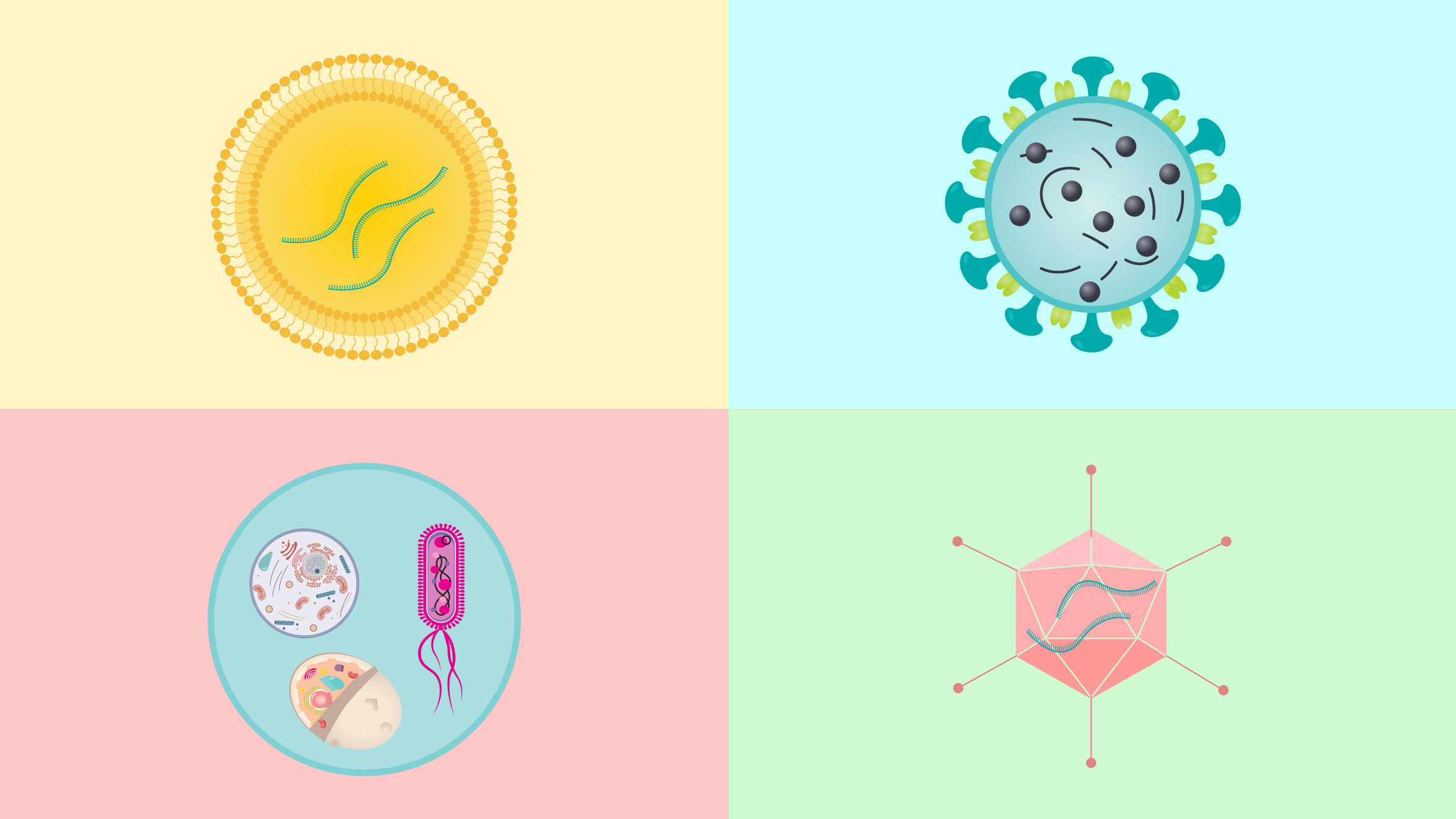 Common Types of Vaccines and How They Help Your Body Fight Disease Hero