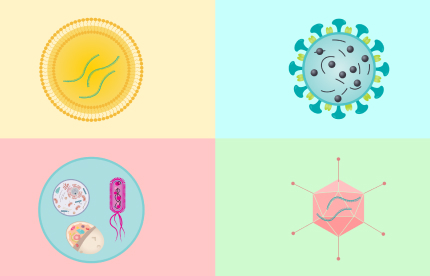 Common Types of Vaccines and How They Help Your Body Fight Disease Image